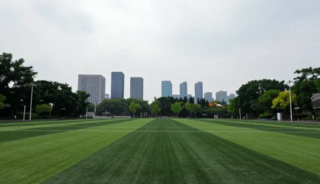 公众号开发中网站建设的五大检查要点